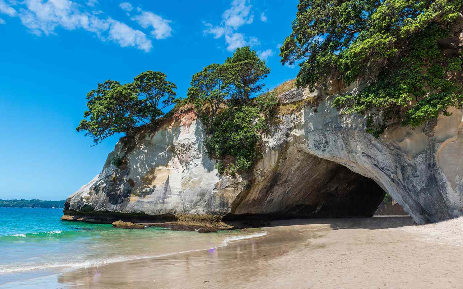 New Zealand’s best-known marine park